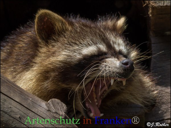 Copyright AiF Johannes Rother Bild zum Eintrag (82769-160)