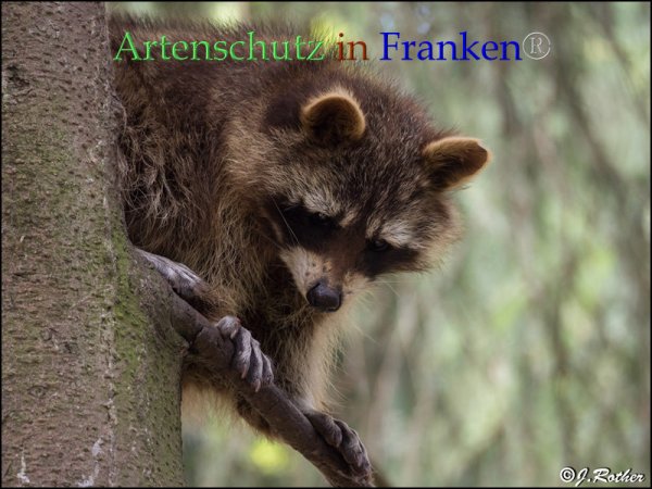 Copyright AiF Johannes Rother Bild zum Eintrag (82770-160)