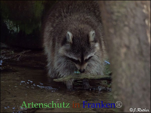 Copyright AiF Johannes Rother Bild zum Eintrag (82771-160)