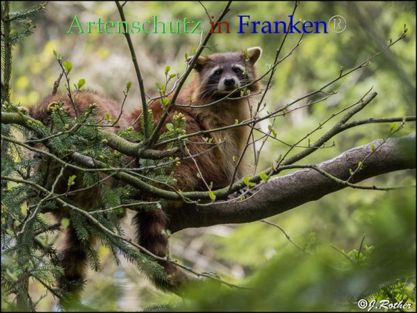 Copyright AiF Johannes Rother Bild zum Eintrag (82773-160)