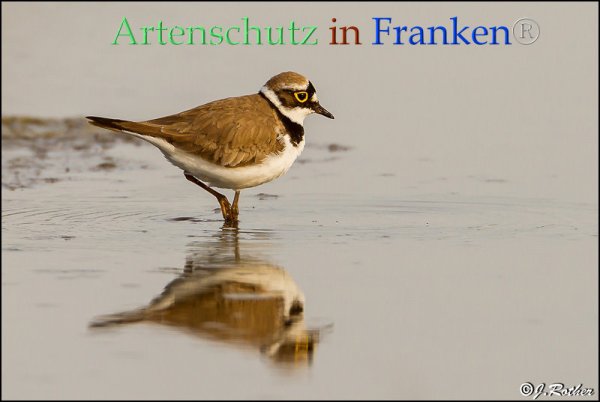 Copyright AiF Johannes Rother Bild zum Eintrag (82808-160)
