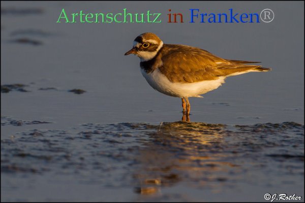 Copyright AiF Johannes Rother Bild zum Eintrag (82809-160)