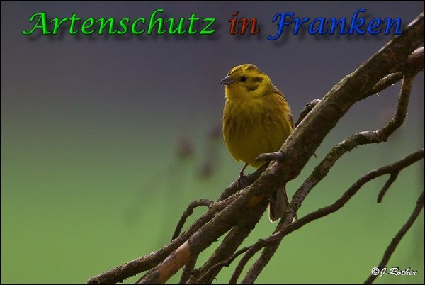 Copyright AiF Johannes Rother Bild zum Eintrag (82820-160)