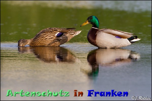 Copyright AiF Johannes Rother Bild zum Eintrag (82874-160)
