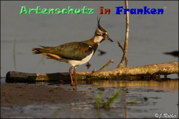 Copyright AiF Johannes Rother Bild zum Eintrag (82891-160)