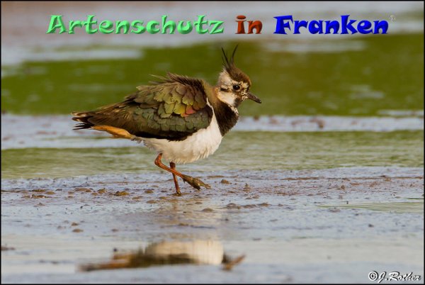 Copyright AiF Johannes Rother Bild zum Eintrag (82892-160)