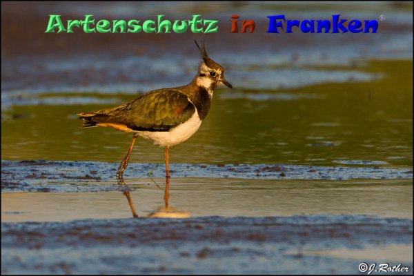 Copyright AiF Johannes Rother Bild zum Eintrag (82895-160)