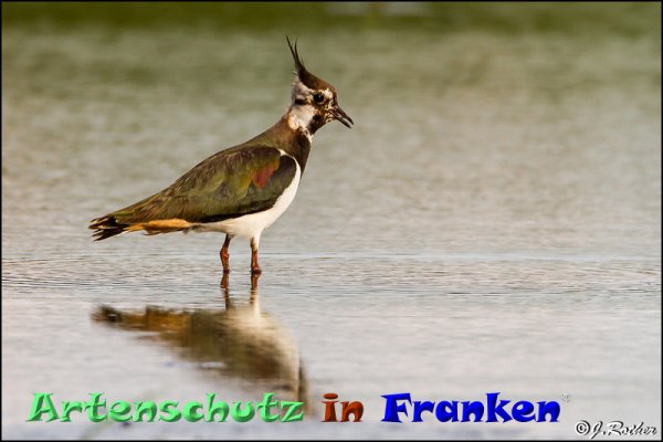 Copyright AiF Johannes Rother Bild zum Eintrag (82900-160)