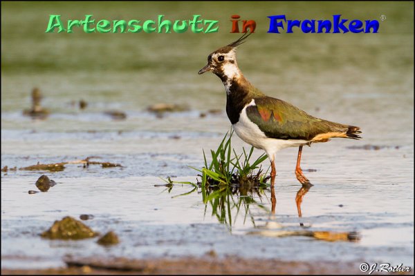 Copyright AiF Johannes Rother Bild zum Eintrag (82901-160)
