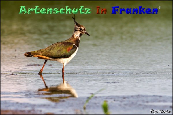 Copyright AiF Johannes Rother Bild zum Eintrag (82902-160)