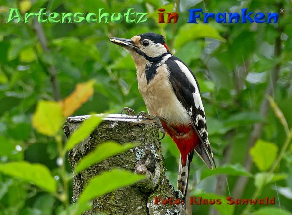 Copyright AiF - Klaus Sanwald Bild zum Eintrag (84344-160)