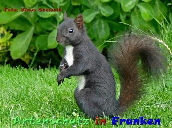 Copyright AiF - Klaus Sanwald Bild zum Eintrag (84993-160)