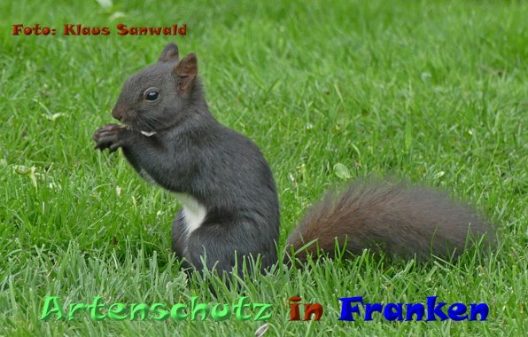 Copyright AiF - Klaus Sanwald Bild zum Eintrag (84994-160)