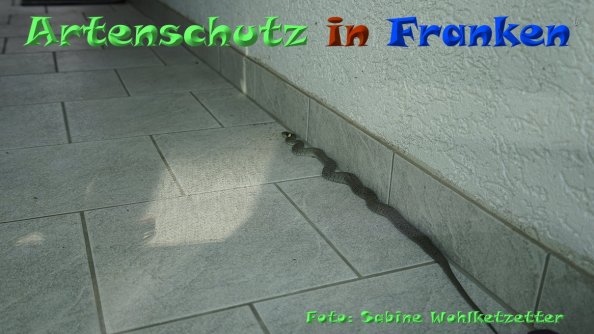 Copyright AiF -Sabine Wohlketzetter Bild zum Eintrag (85188-160)