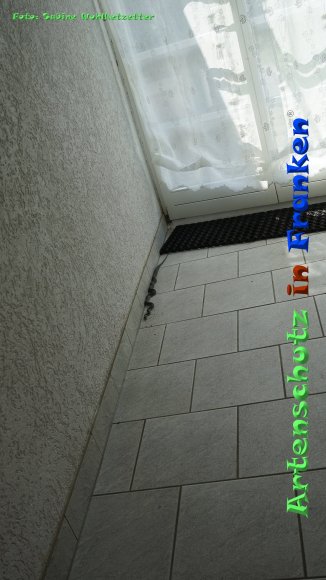 Copyright AiF -Sabine Wohlketzetter Bild zum Eintrag (85189-160)