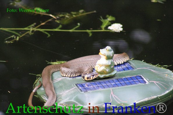 Copyright AiF Werner Ebner Bild zum Eintrag (85581-160)