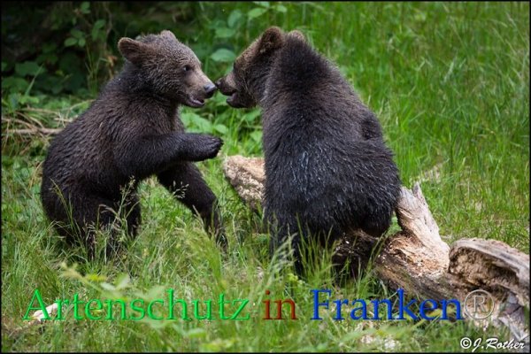Bild zum Eintrag (85703-160)