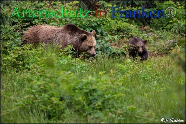 Copyright AiF Johannes Rother Bild zum Eintrag (85706-160)