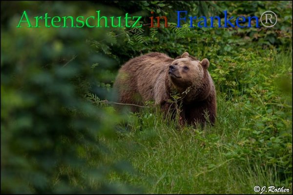 Copyright AiF Johannes Rother Bild zum Eintrag (85707-160)