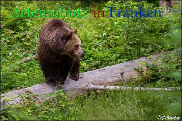 Copyright AiF Johannes Rother Bild zum Eintrag (85708-160)