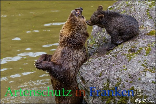Copyright AiF Johannes Rother Bild zum Eintrag (85712-160)