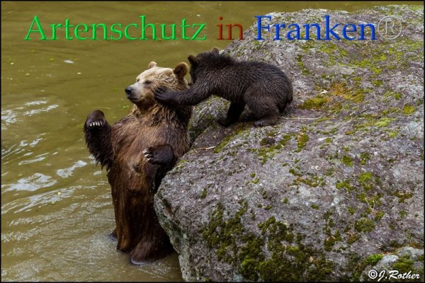 Copyright AiF Johannes Rother Bild zum Eintrag (85713-160)