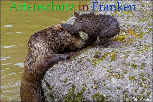 Copyright AiF Johannes Rother Bild zum Eintrag (85714-160)