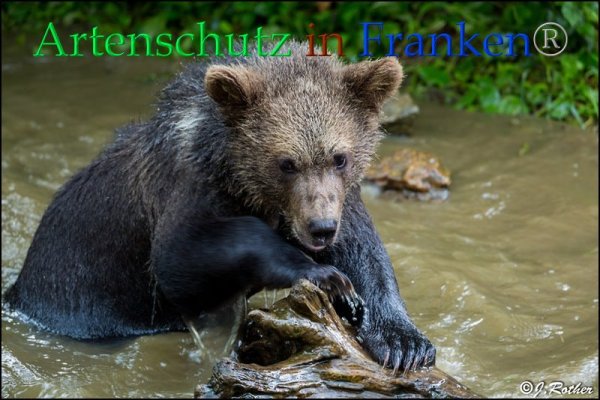 Copyright AiF Johannes Rother Bild zum Eintrag (85715-160)