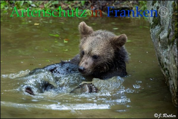 Copyright AiF Johannes Rother Bild zum Eintrag (85716-160)