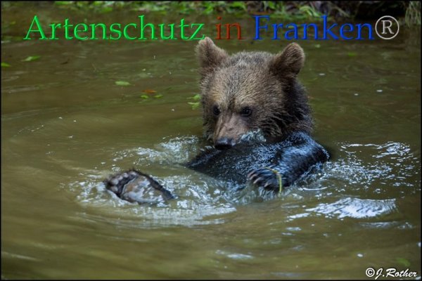 Copyright AiF Johannes Rother Bild zum Eintrag (85717-160)