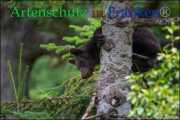 Copyright AiF Johannes Rother Bild zum Eintrag (85733-160)