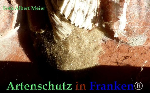 Copyright AiF - Albert Meier Bild zum Eintrag (85809-160)
