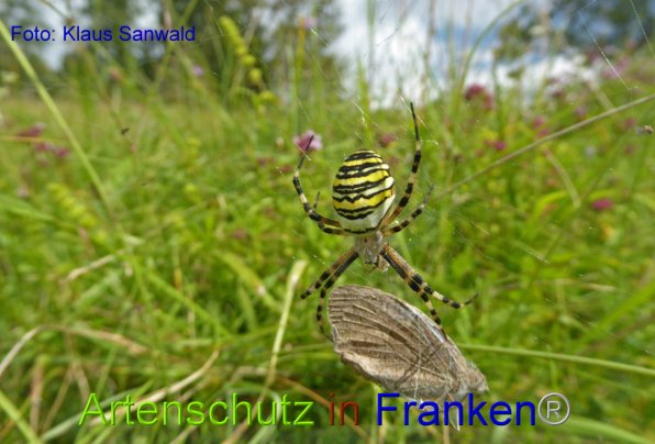 Copyright AiF - Klaus Sanwald Bild zum Eintrag (86200-160)