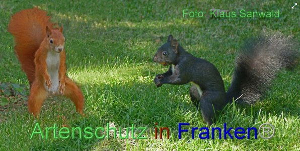 Copyright AiF - Klaus Sanwald Bild zum Eintrag (86893-160)