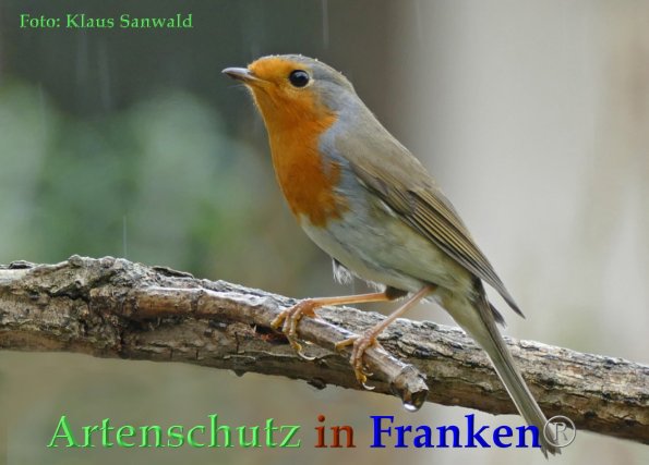 Copyright AiF - Klaus Sanwald Bild zum Eintrag (87923-160)