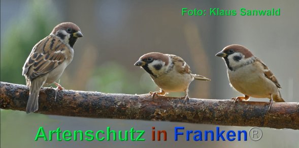 Copyright AiF - Klaus Sanwald Bild zum Eintrag (88096-160)