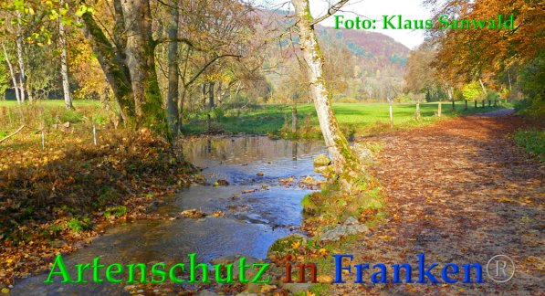 Bild zum Eintrag (88454-160)