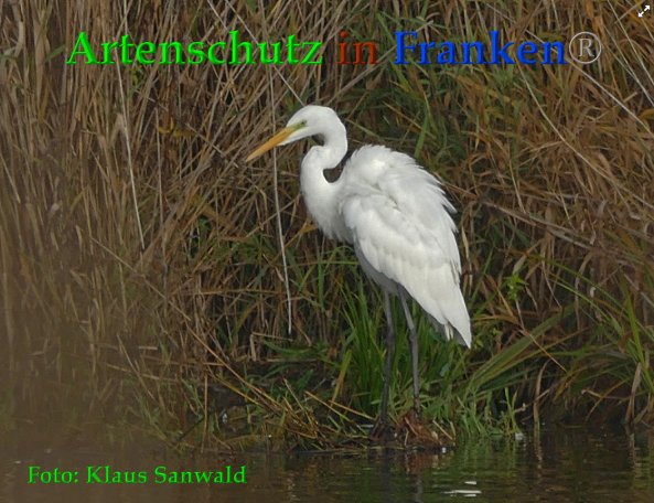 Copyright AiF - Klaus Sanwald Bild zum Eintrag (88620-160)