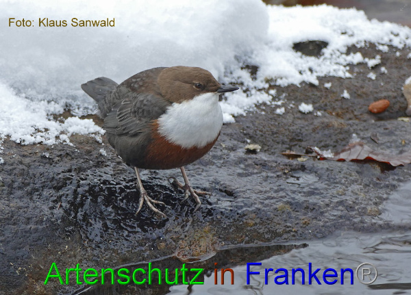 Copyright AiF - Klaus Sanwald Bild zum Eintrag (89533-160)