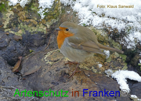 Copyright AiF - Klaus Sanwald Bild zum Eintrag (89535-160)