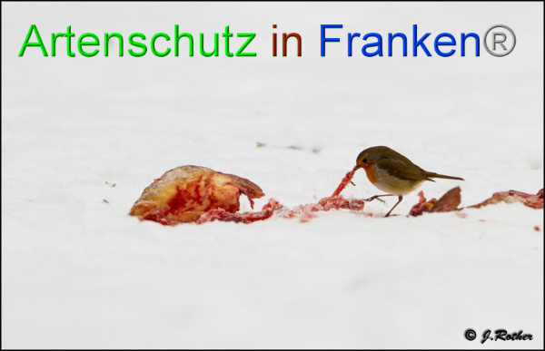 Copyright AiF - Johannes Rother Bild zum Eintrag (89547-160)