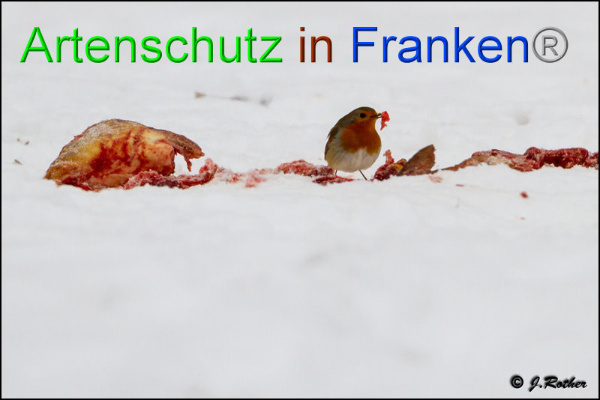 Copyright AiF - Johannes Rother Bild zum Eintrag (89548-160)