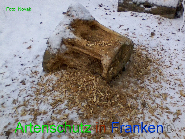 Copyright AiF Novak Bild zum Eintrag (89565-160)