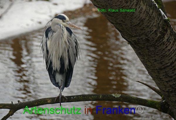 Copyright AiF - Klaus Sanwald Bild zum Eintrag (89573-160)