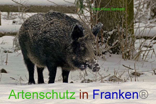Copyright AiF - Klaus Sanwald Bild zum Eintrag (89589-160)