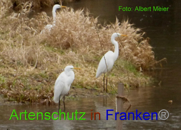 Copyright AiF - Albert Meier Bild zum Eintrag (89602-160)