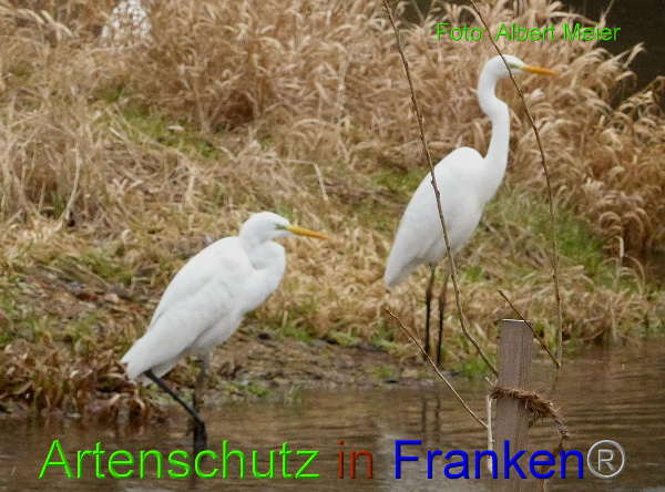 Copyright AiF - Albert Meier Bild zum Eintrag (89605-160)