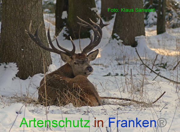 Copyright AiF - Klaus Sanwald Bild zum Eintrag (89752-160)