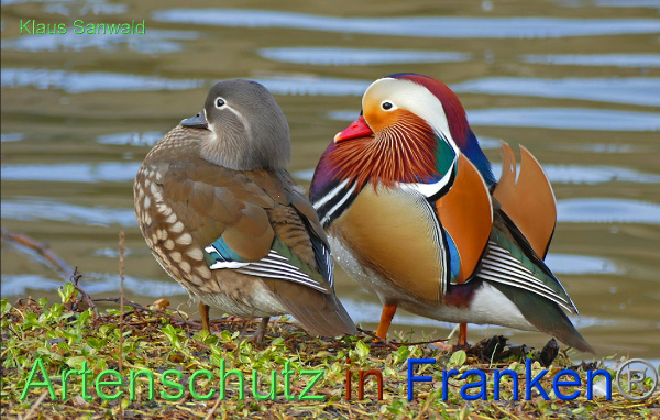 Copyright AiF - Klaus Sanwald Bild zum Eintrag (89824-160)