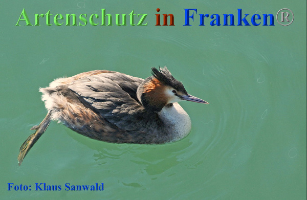 Copyright AiF - Klaus Sanwald Bild zum Eintrag (90151-160)